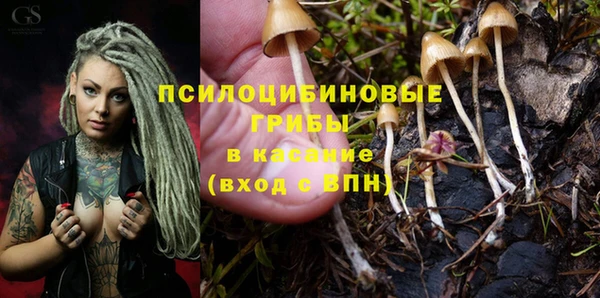 героин Алзамай