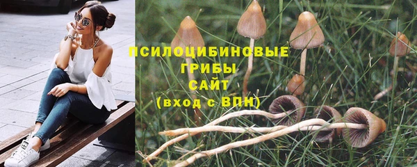 героин Алзамай