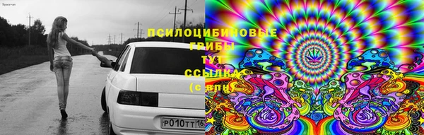 героин Алзамай